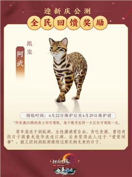 天妖天龙八部私服
